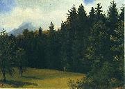 Albert Bierstadt Greater San Francisco Area (Mountain Glade and Mountain Resort) painting